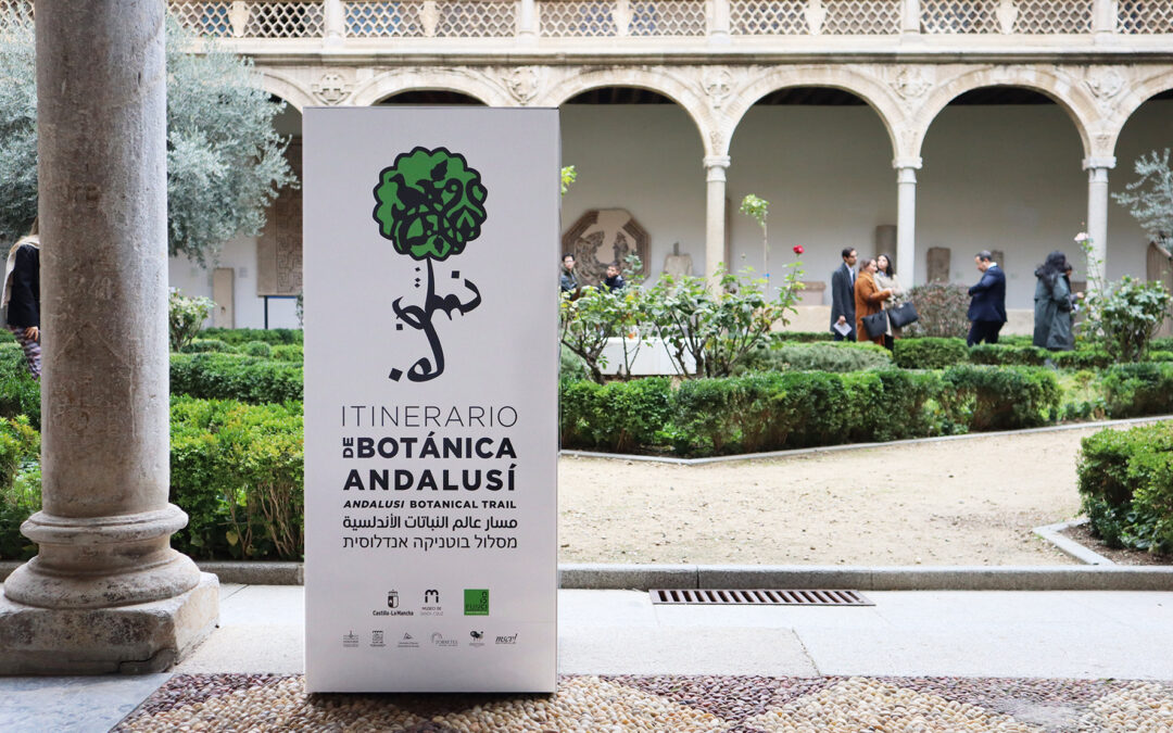 Sembrar patrimonio: la botánica andalusí en los jardines del Museo de Santa Cruz (Toledo)