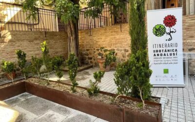 Acciones para la difusión de la botánica andalusí en Toledo
