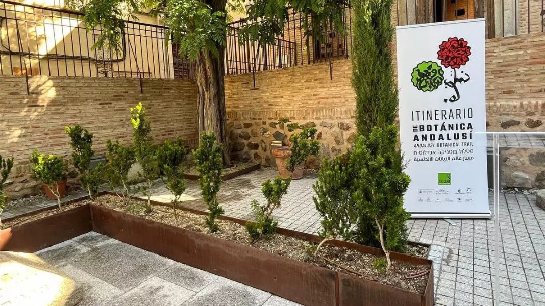 Acciones para la difusión de la botánica andalusí en Toledo