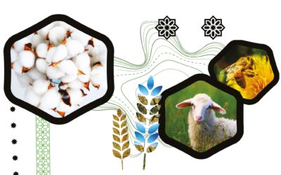 Conferencia | «La memoria agrícola de Al-Ándalus: fuentes escritas y evidencias de la arqueobiología»